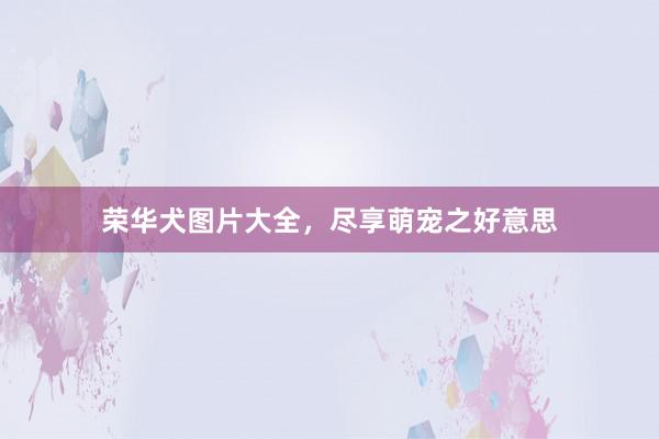 荣华犬图片大全，尽享萌宠之好意思
