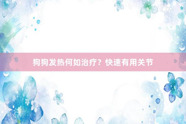 狗狗发热何如治疗？快速有用关节
