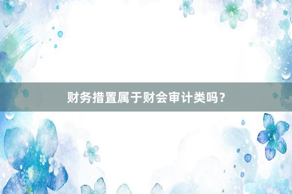 财务措置属于财会审计类吗？